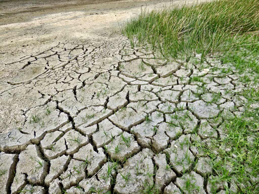 dried out ground