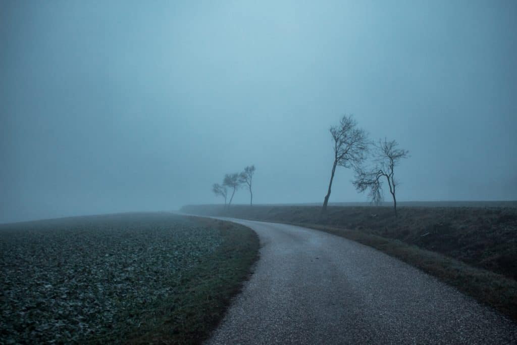 foggy road to nowhere