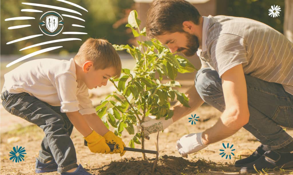 Dad and son working together planting a tree