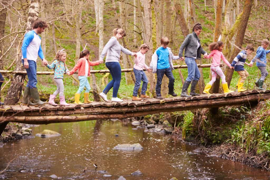 Bridge organizations fill the gap in foster care